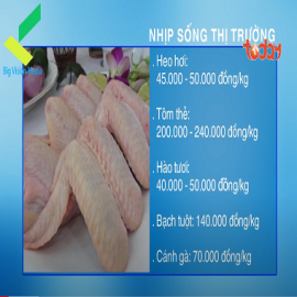 Trải nghiệm và tin dùng số 1